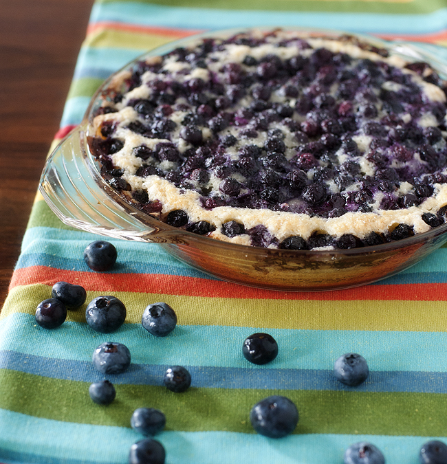 blueberry_summer_cake_3