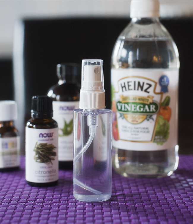 how-to-make-natural-homemade-mosquito-repellent-with-only-5-ingredients