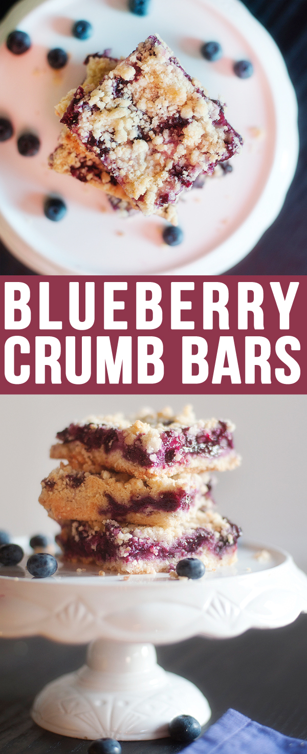 Blueberry Crumb Bars