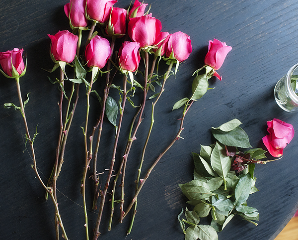 10 Tips To Keep Roses Looking Great