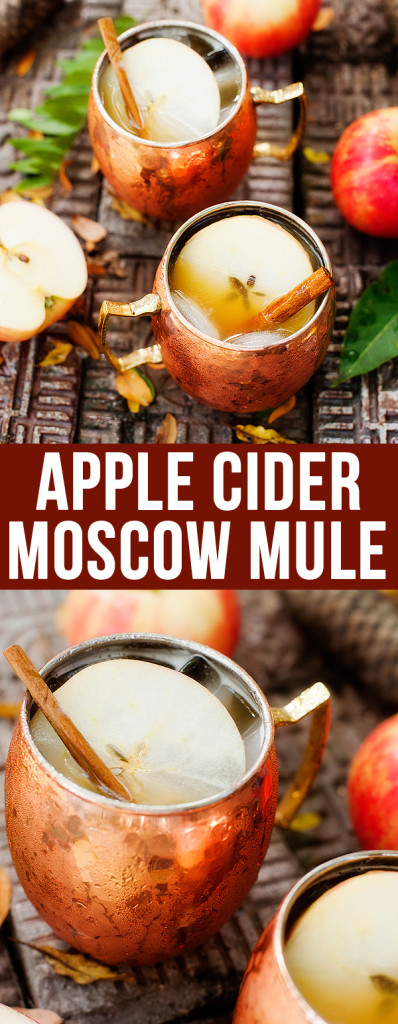 apple cider moscow mule | pretty plain janes