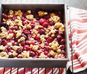 cranberry oatmeal bars | pretty plain janes