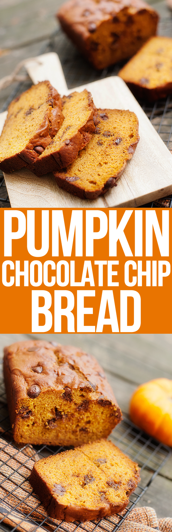 pumpkin chocolate chip bread | pretty plain janes